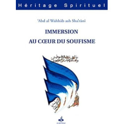 Immersion au cœur du soufisme